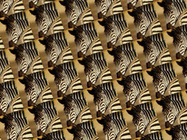 Rotation/Scaling/Mip-mapping